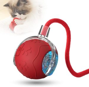 interactive cat toy balls