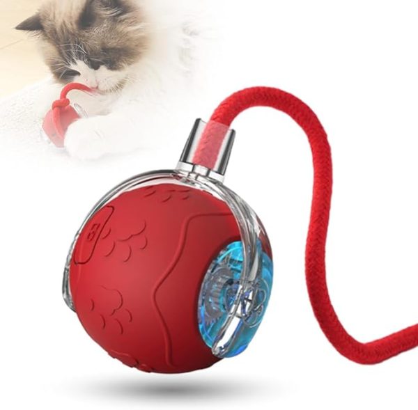 interactive cat toy balls