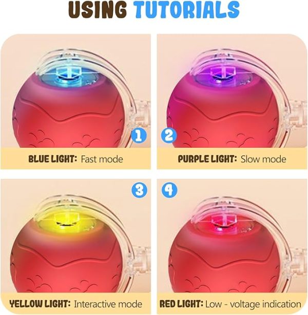 interactive cat toy balls