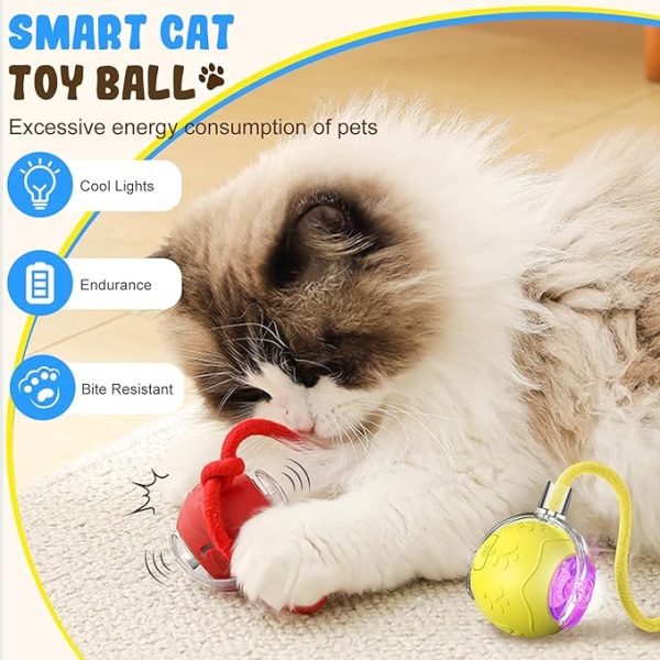 interactive cat toy balls