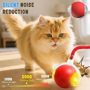 interactive cat toy balls